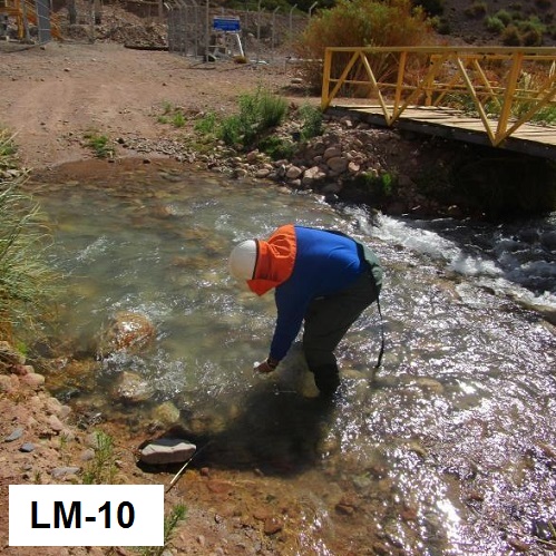 LM-10 