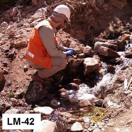 LM-42