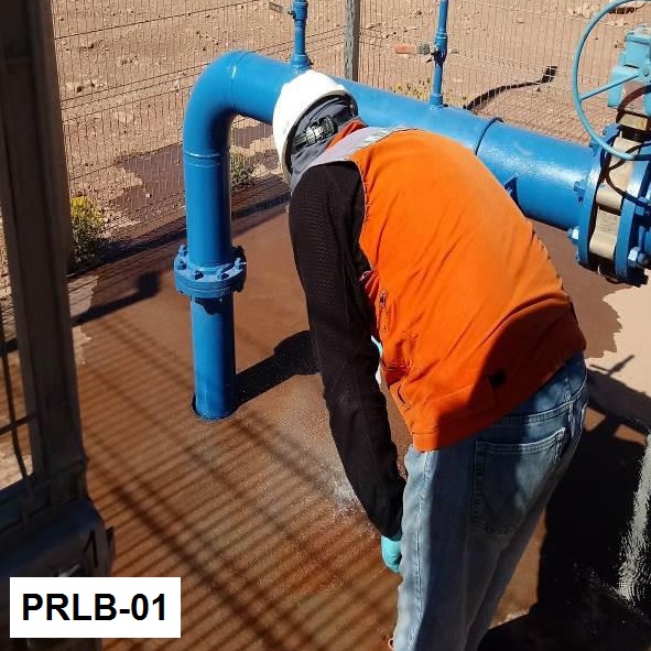 PRLB-01
